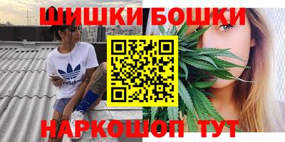 сатива Кинель