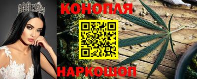 сатива Кинель