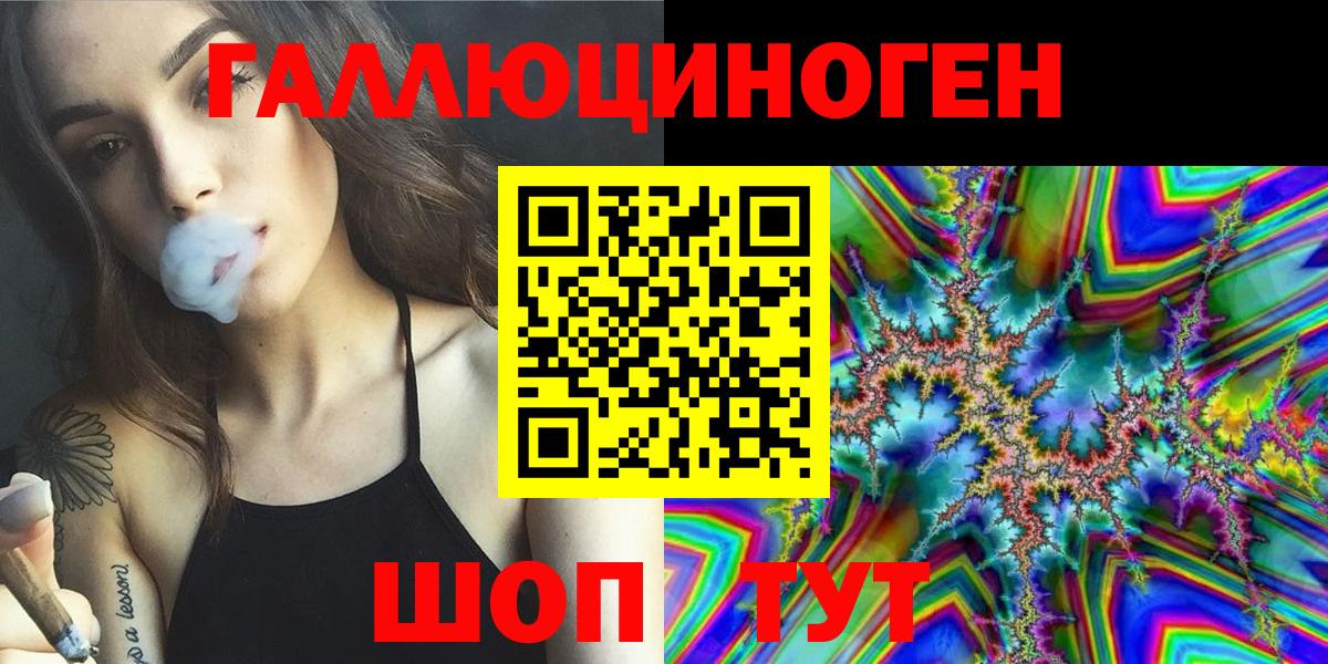 Псилоцибиновые грибы Psilocybe Коряжма