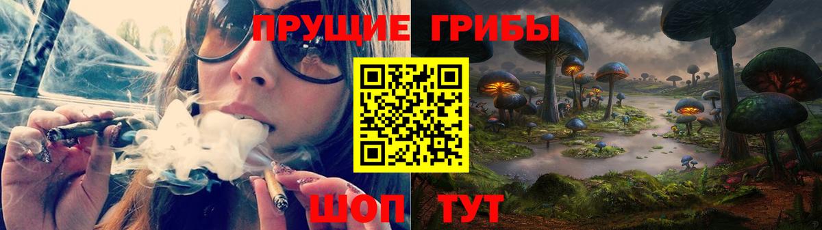 Галлюциногенные грибы Psilocybe  Вход с VPN  Коряжма 